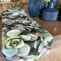 Aeonium Table Runner