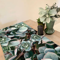 Aeonium Table Runner